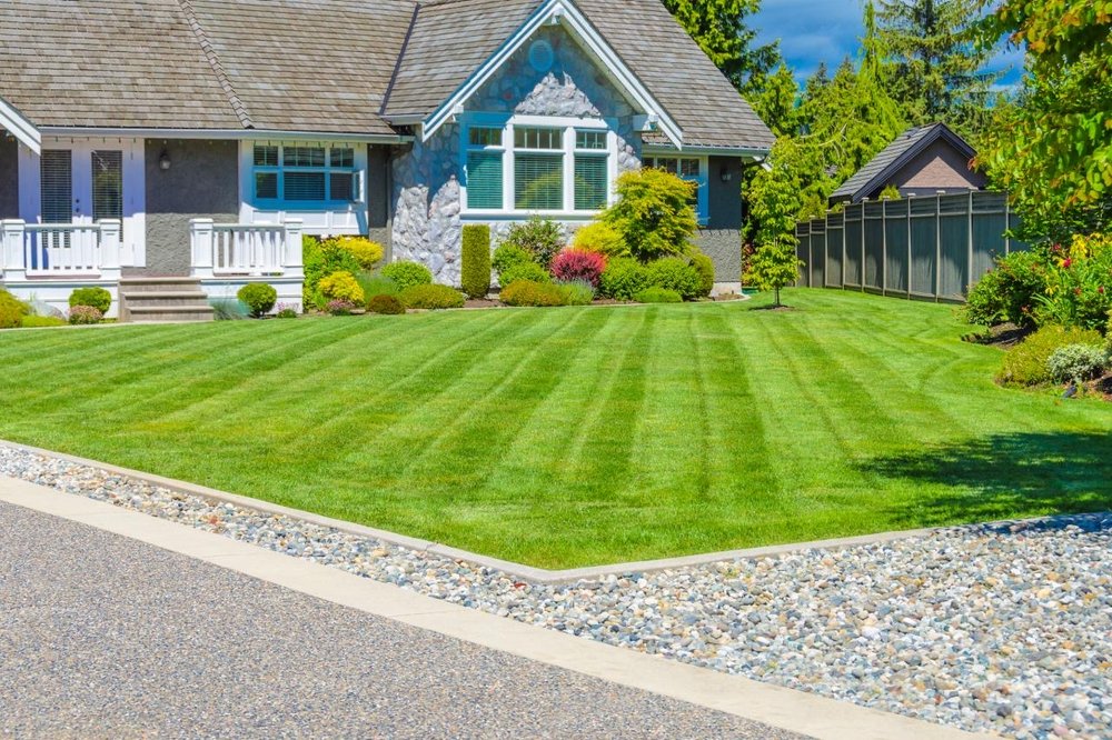 Pristine striped lawn maintained by Greener Lawn Care in Dellwood, MN